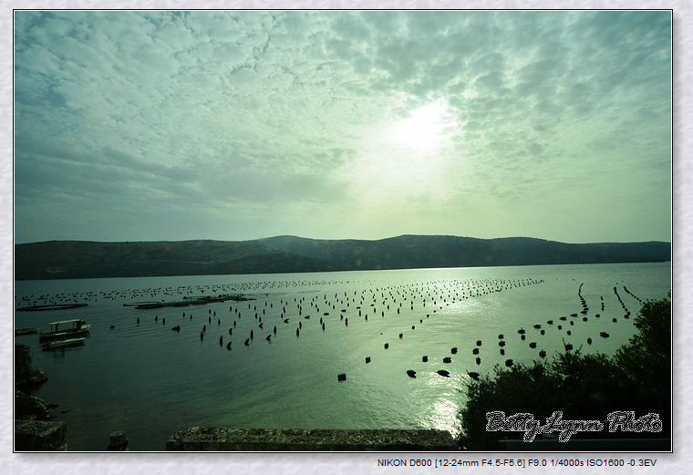 旭本尼克Sibenik — UNESCO 聖雅各大教堂 旭本尼克Sibenik — UNESCO 聖雅各大教堂