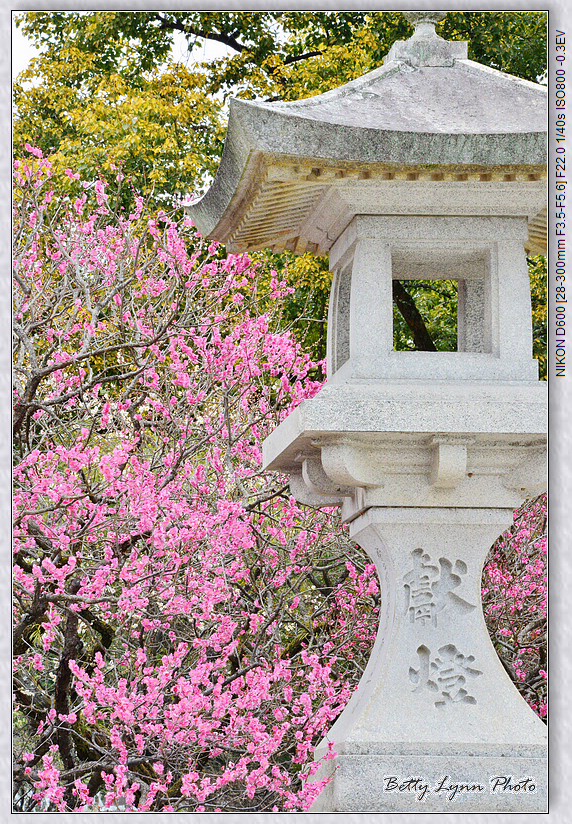 重返太宰府天滿宮 重返太宰府天滿宮