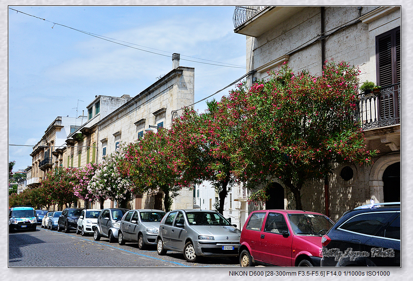 開車加碼行程: 雪白山城Ostuni & 無敵海景Polignano A Mare 開車加碼行程: 雪白山城Ostuni & 無敵海景Polignano A Mare