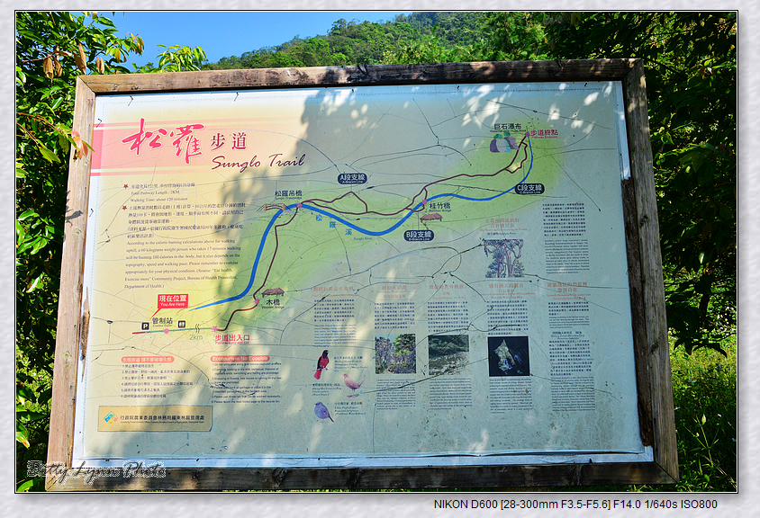 宜蘭2日步道漫走-九寮溪&福山植物園 宜蘭2日步道漫走-九寮溪&福山植物園