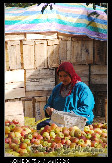 水上之都_斯利那加(Srinagar) 水上之都_斯利那加(Srinagar)