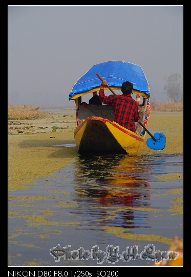 泛舟. 顧船. Dal Lake 泛舟. 顧船. Dal Lake