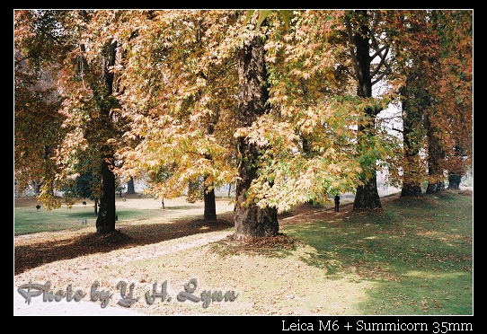 歡喜花園(Nishat Garden)_喀什米爾 srinagar 歡喜花園(Nishat Garden)_喀什米爾 srinagar