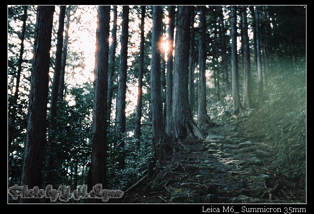 熊野古道參拜-1_起駕 熊野古道參拜-1_起駕