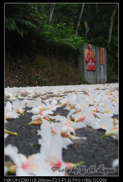 烏來大桶山縱走 烏來大桶山縱走