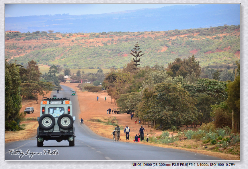 非洲獵遊_Ngorongoro 恩戈羅恩戈羅自然保護區 非洲獵遊_Ngorongoro 恩戈羅恩戈羅自然保護區