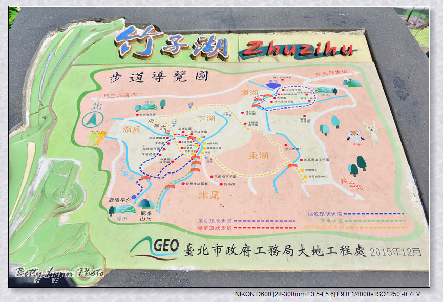 不停跑題之繡球花 in 陽明山竹子湖 不停跑題之繡球花 in 陽明山竹子湖