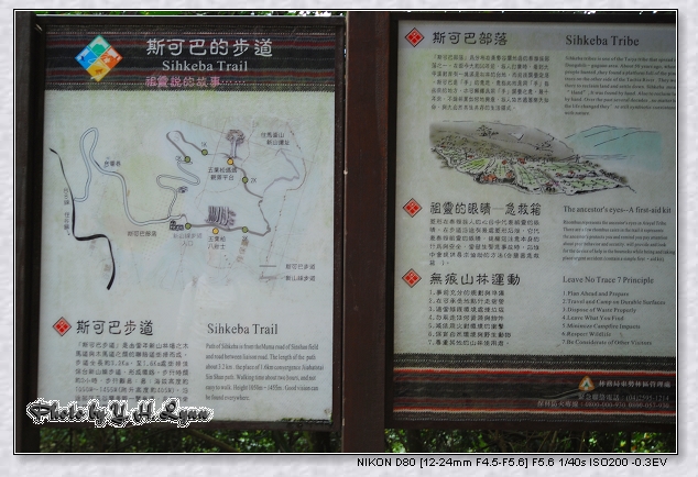 谷關馬崙山斯可巴步道-廣角鏡下的櫻花 谷關馬崙山斯可巴步道-廣角鏡下的櫻花