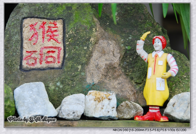 名為”猴”硐的”貓”鄉 名為”猴”硐的”貓”鄉