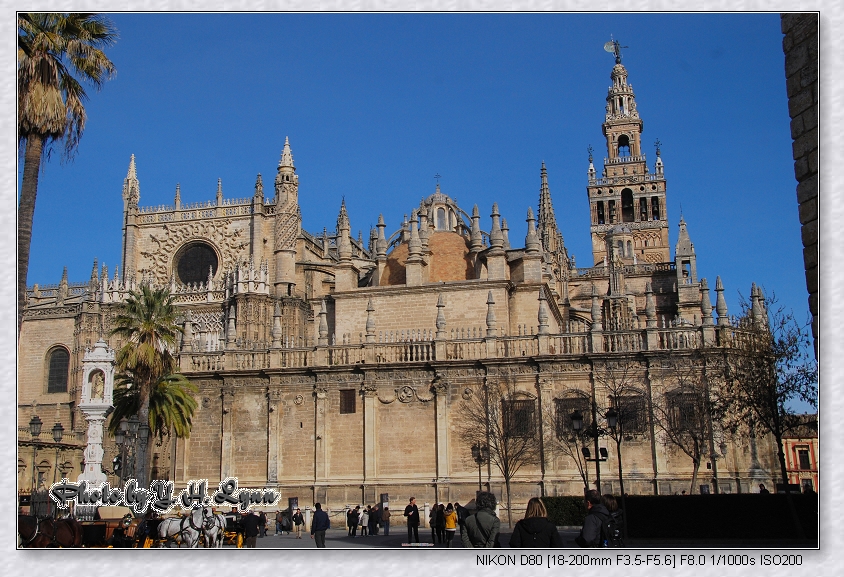 自駕遊西班牙_世遺之章_Sevilla 大教堂 自駕遊西班牙_世遺之章_Sevilla 大教堂