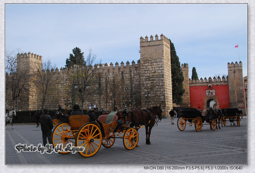 自駕遊西班牙_世遺之章_Sevilla王宮 自駕遊西班牙_世遺之章_Sevilla王宮