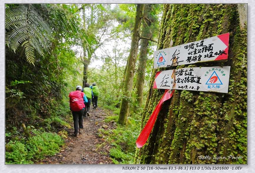 淡蘭古道南段(下) : 坪林-礁溪(碧湖宮~四堵古道~石牌縣界公園~跑馬古道) 淡蘭古道南段(下) : 坪林-礁溪(碧湖宮~四堵古道~石牌縣界公園~跑馬古道)