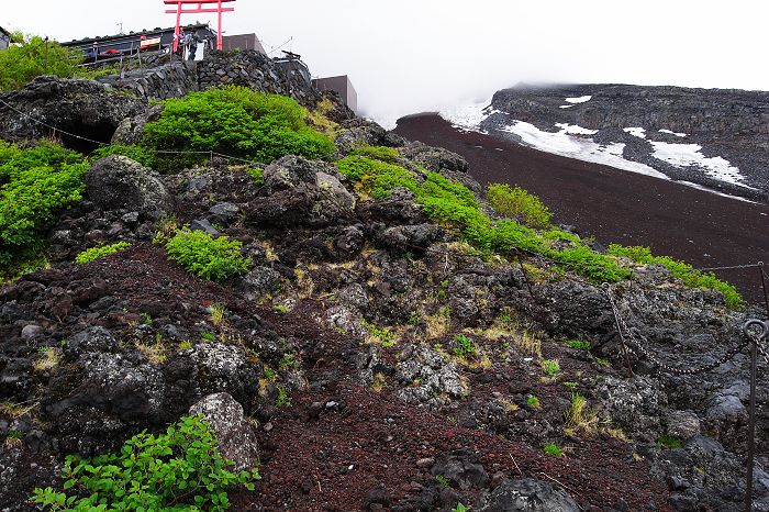 富士長野散策(中)-富士山我來了~上高地~妻籠馬籠中山道山中行 富士長野散策(中)-富士山我來了~上高地~妻籠馬籠中山道山中行