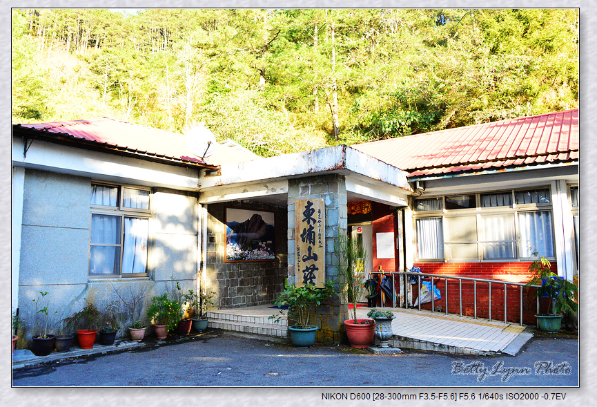 2018走春_特富野-麟趾山-鹿林山 2018走春_特富野-麟趾山-鹿林山