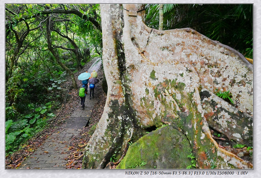 淡蘭古道南段(上) : 石碇-坪林(淡蘭吊橋~石碇~鳥塗窟~四分子古道~大格門~獵狸尖~黄櫸皮寮) 淡蘭古道南段(上) : 石碇-坪林(淡蘭吊橋~石碇~鳥塗窟~四分子古道~大格門~獵狸尖~黄櫸皮寮)