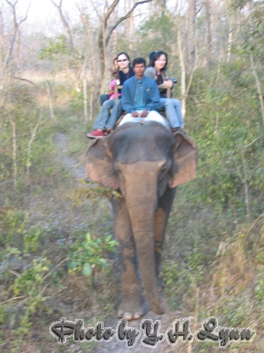 喜瑪拉雅之巔_ 尼泊爾-騎犀牛找大象__ 奇旺