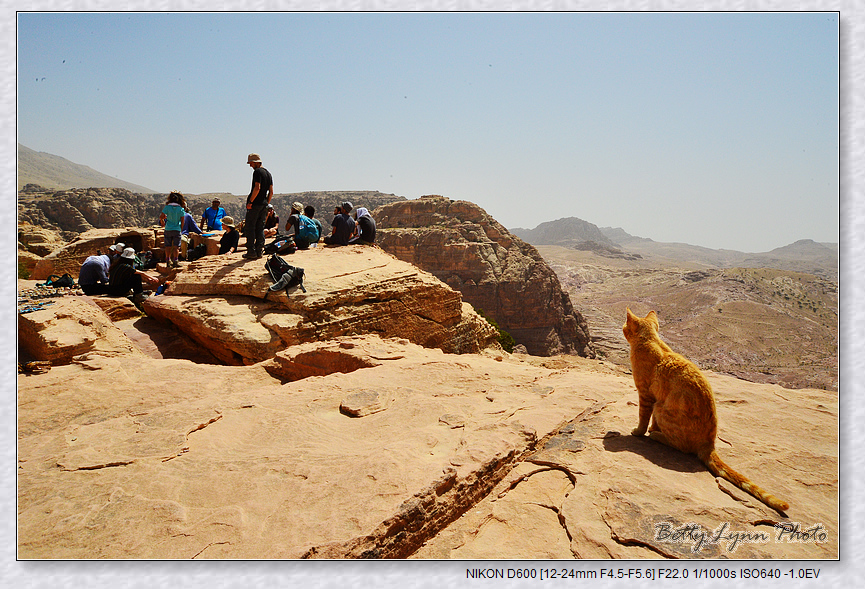 DSC_3143.jpg - 約旦沙漠之城4-5 : Petra