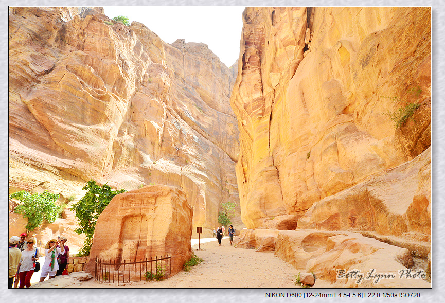 DSC_2737.jpg - 約旦沙漠之城4-5 : Petra