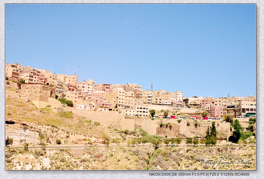DSC_2362.jpg - 約旦沙漠之城3