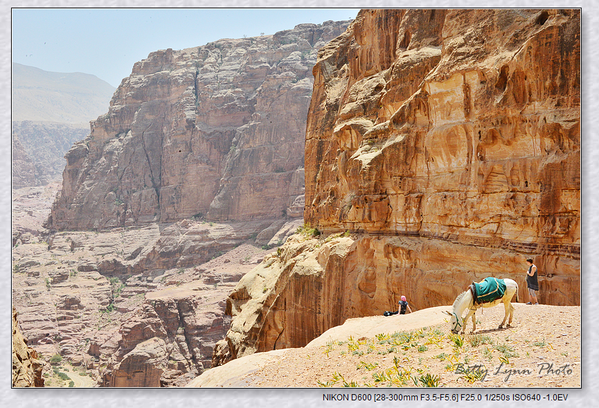 DSC_3570.JPG - 約旦沙漠之城4-5 : Petra