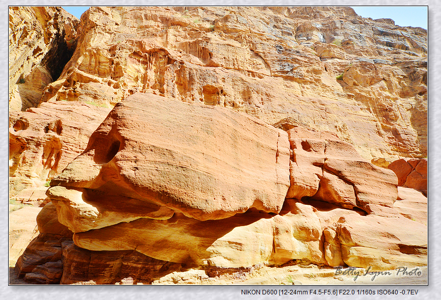 DSC_2741.JPG - 約旦沙漠之城4-5 : Petra