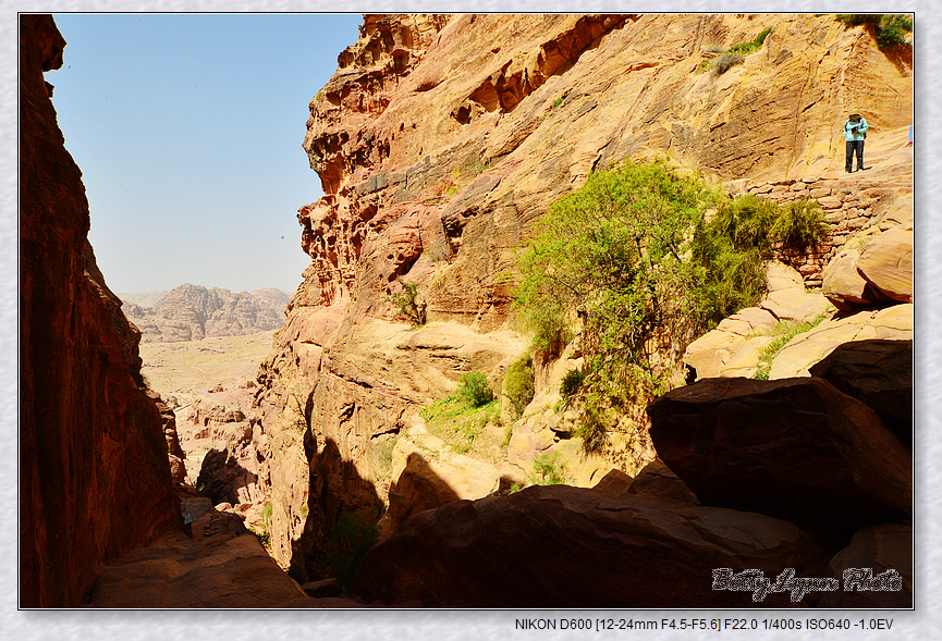 DSC_3160.jpg - 約旦沙漠之城4-5 : Petra