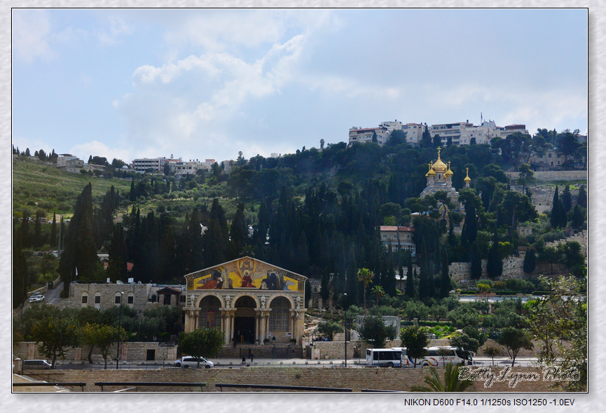 以色列聖地之旅[第3章] : 耶路撒冷．橄欖山