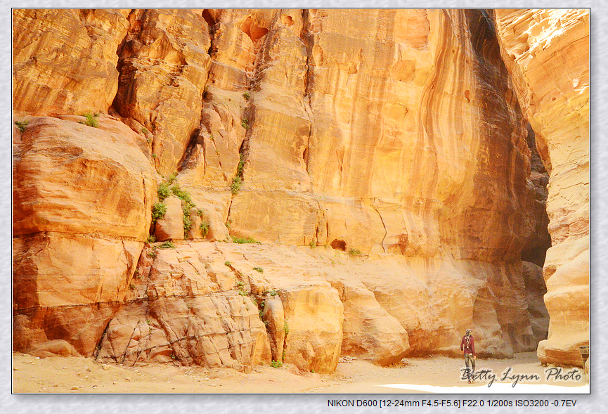 DSC_2845.JPG - 約旦沙漠之城4-5 : Petra