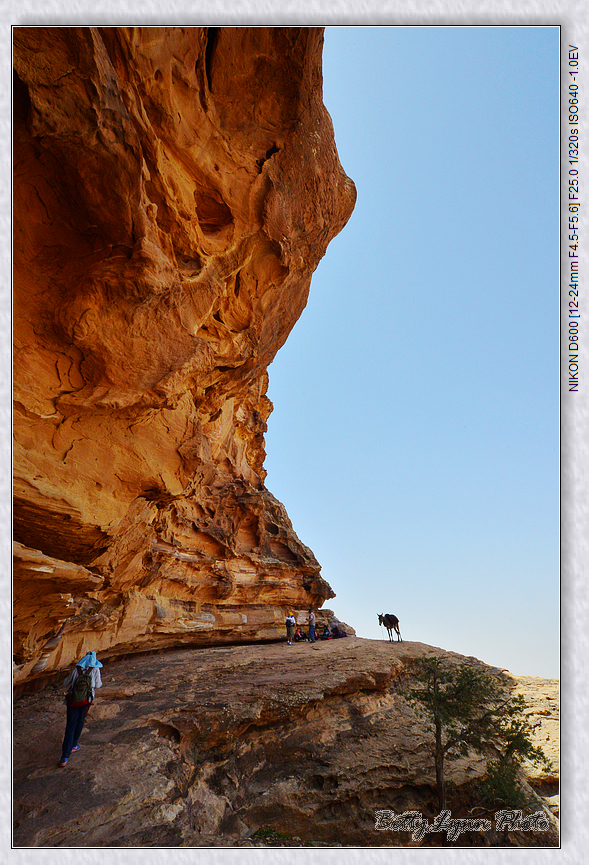 DSC_3502.JPG - 約旦沙漠之城4-5 : Petra