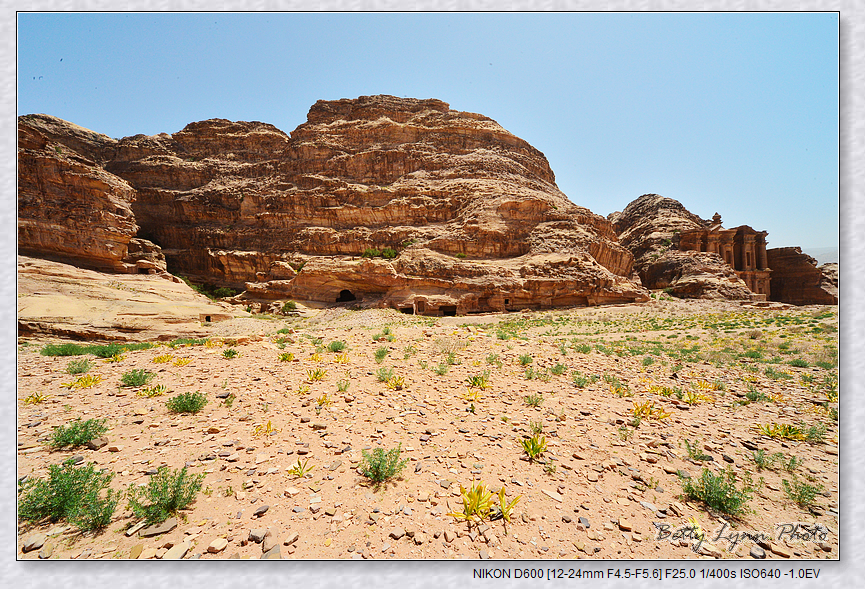 DSC_3528.JPG - 約旦沙漠之城4-5 : Petra