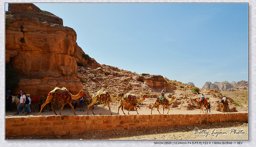 DSC_3232.JPG - 約旦沙漠之城4-5 : Petra