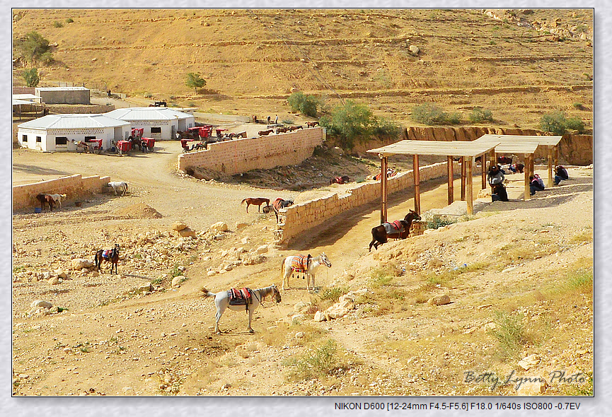DSC_2634.jpg - 約旦沙漠之城4-5 : Petra