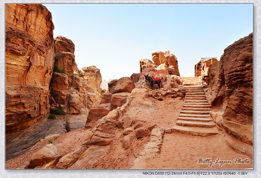 DSC_3207.jpg - 約旦沙漠之城4-5 : Petra