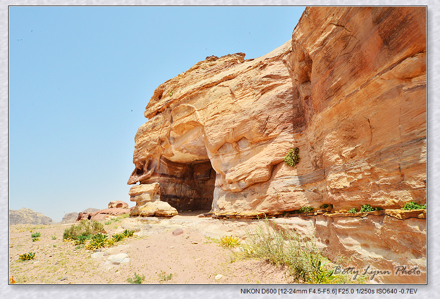 DSC_3029.JPG - 約旦沙漠之城4-5 : Petra