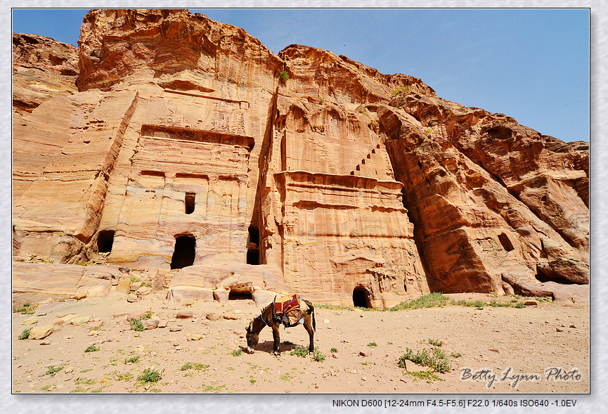 DSC_3245.JPG - 約旦沙漠之城4-5 : Petra