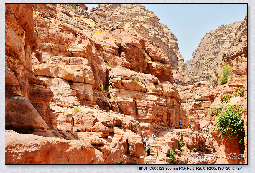 DSC_3652.JPG - 約旦沙漠之城4-5 : Petra